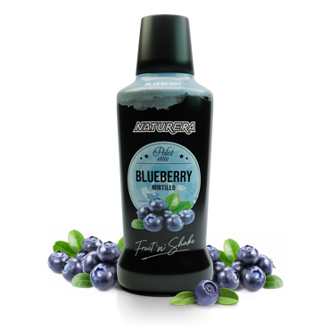 Fruit N Shake Blubbery Puree Polot 1882 750ml